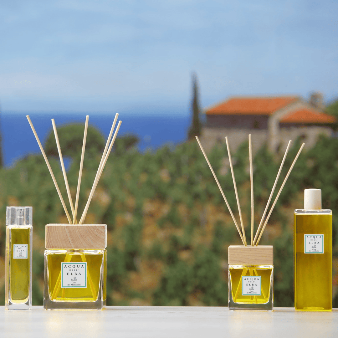 Acqua Dell'Elba Home Diffuser Acqua Dell'Elba Limonaia Di Sant'Andrea Fragrance Large Diffuser 84,5 fl.oz 2.5 L Brand