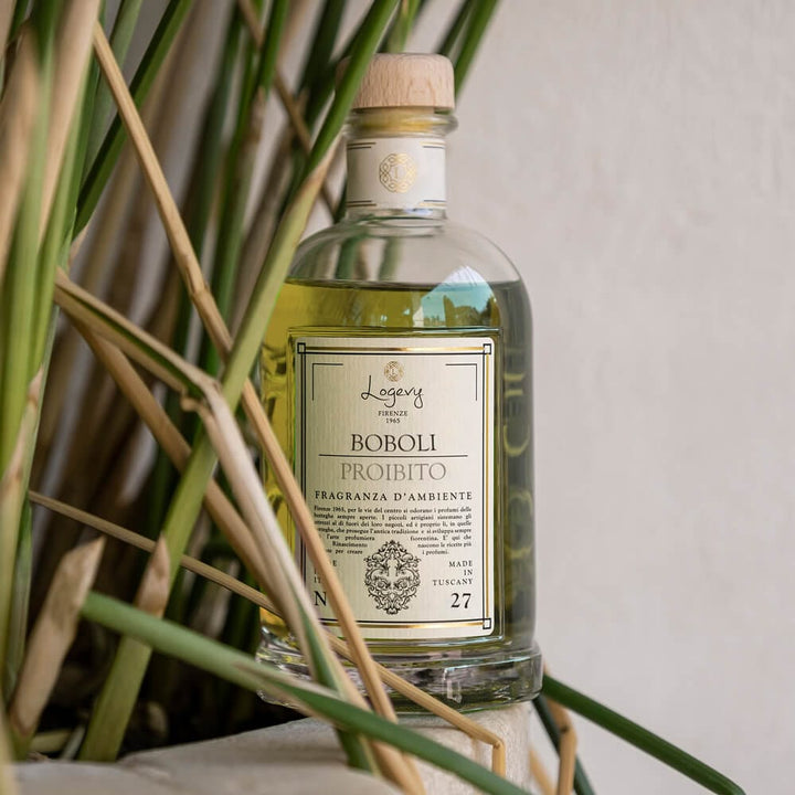 Home Diffuser Logevy Spicy Citrus Fruits Home Fragrance Brand