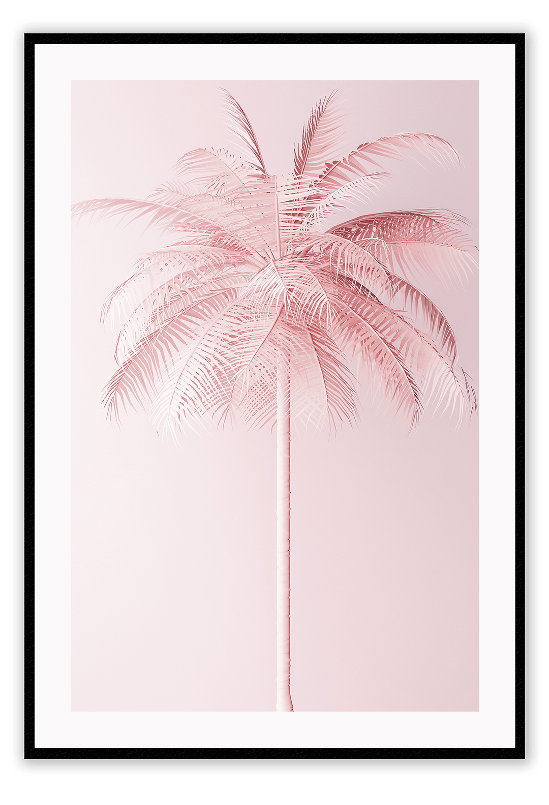 Canvas Print 50x70cm / Black Pink Palm Pink Palm Wall Art : Ready to hang framed artwork. Brand