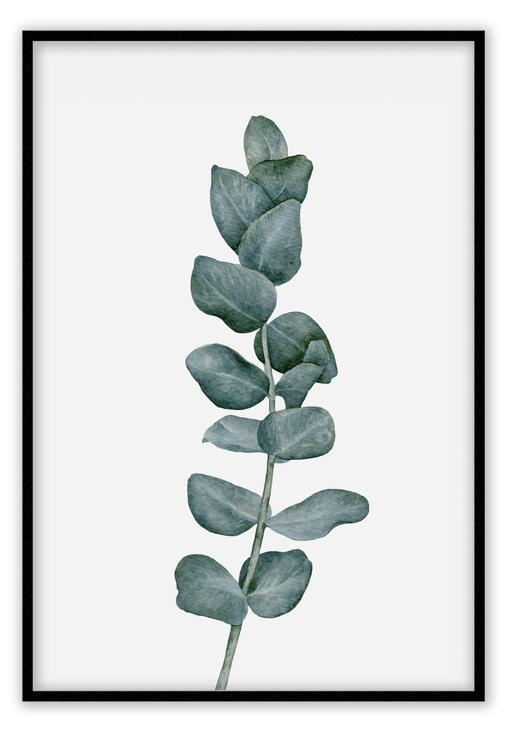 Canvas Print 50x70cm / Black Sketchy Eucalyptus Sketchy Eucalyptus Wall Art : Ready to hang framed artwork. Brand